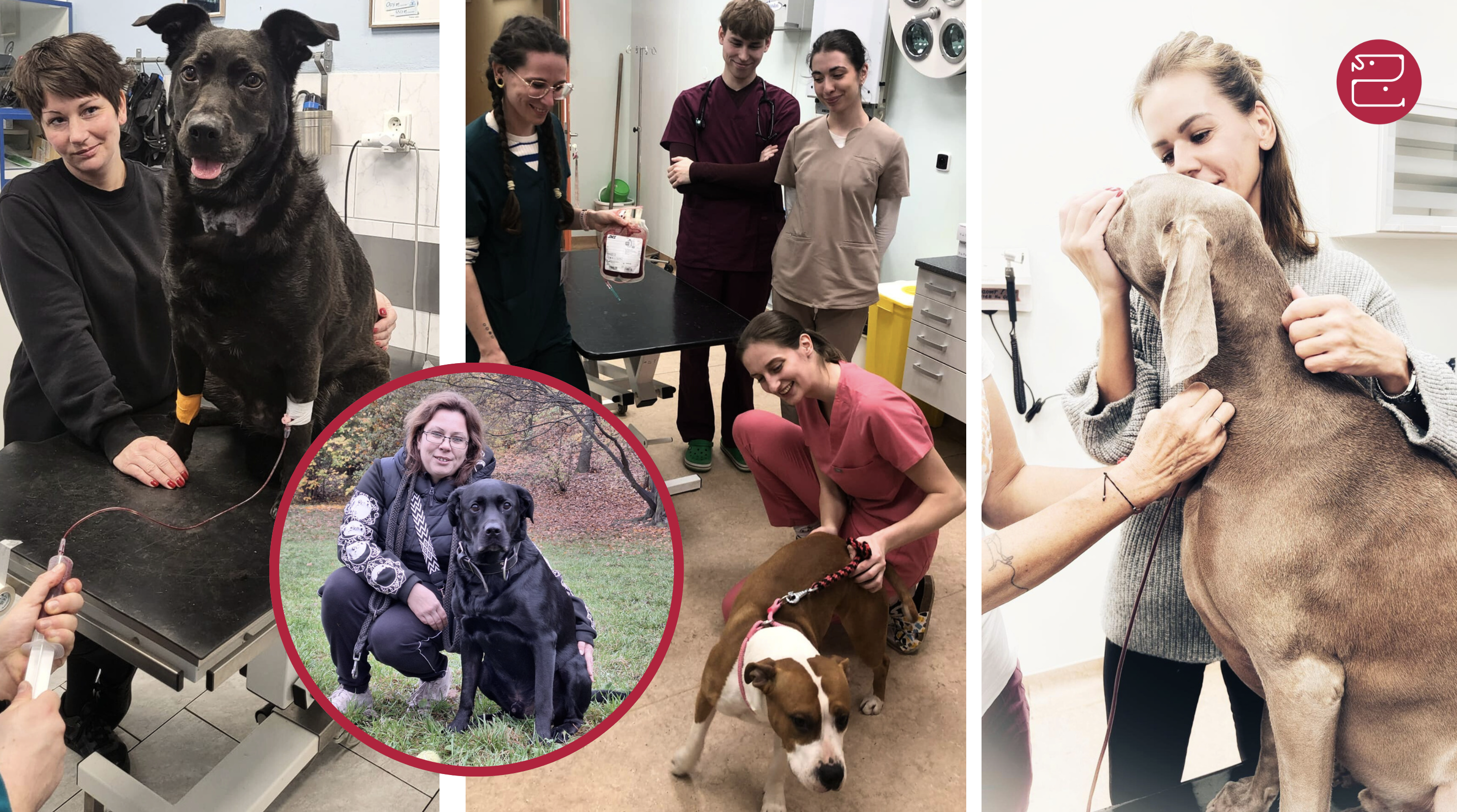 Snímek obrazovky 2025-12-09 v 22.01.26